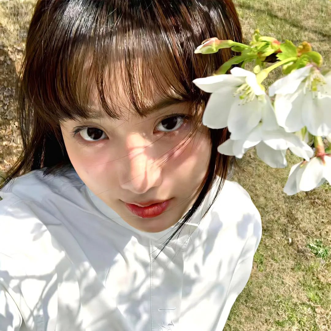 算死草